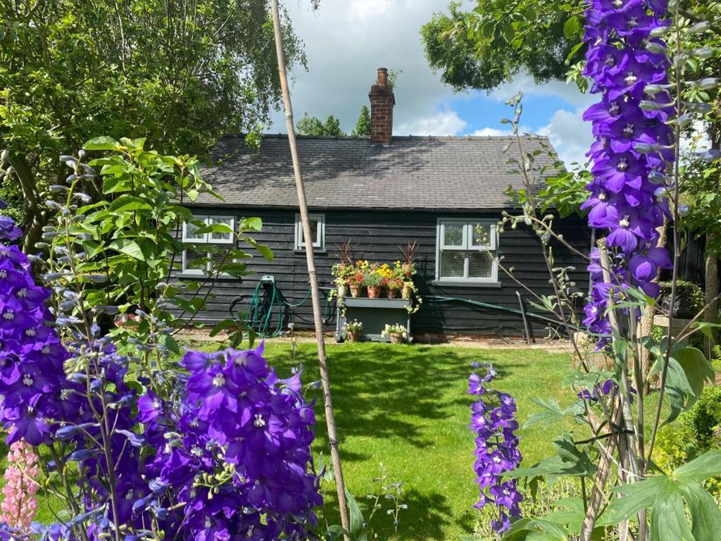 Thompsons Cottage Beverley Extérieur photo