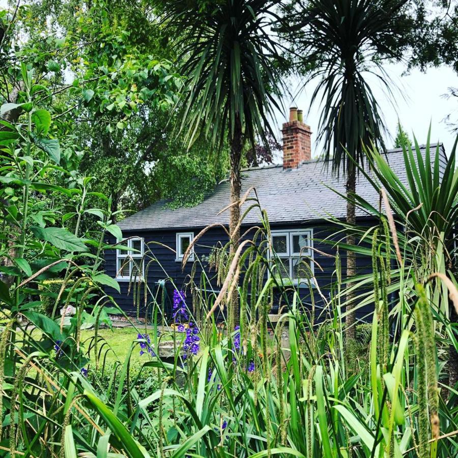 Thompsons Cottage Beverley Extérieur photo